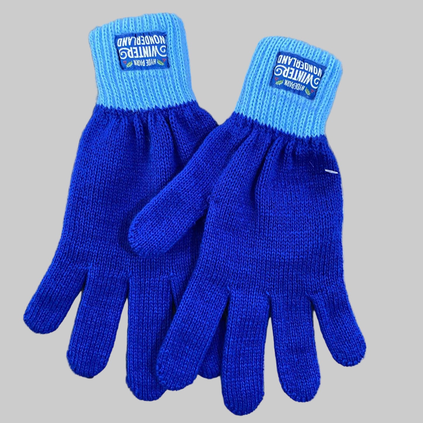 Winter Wonderland Blue Gloves
