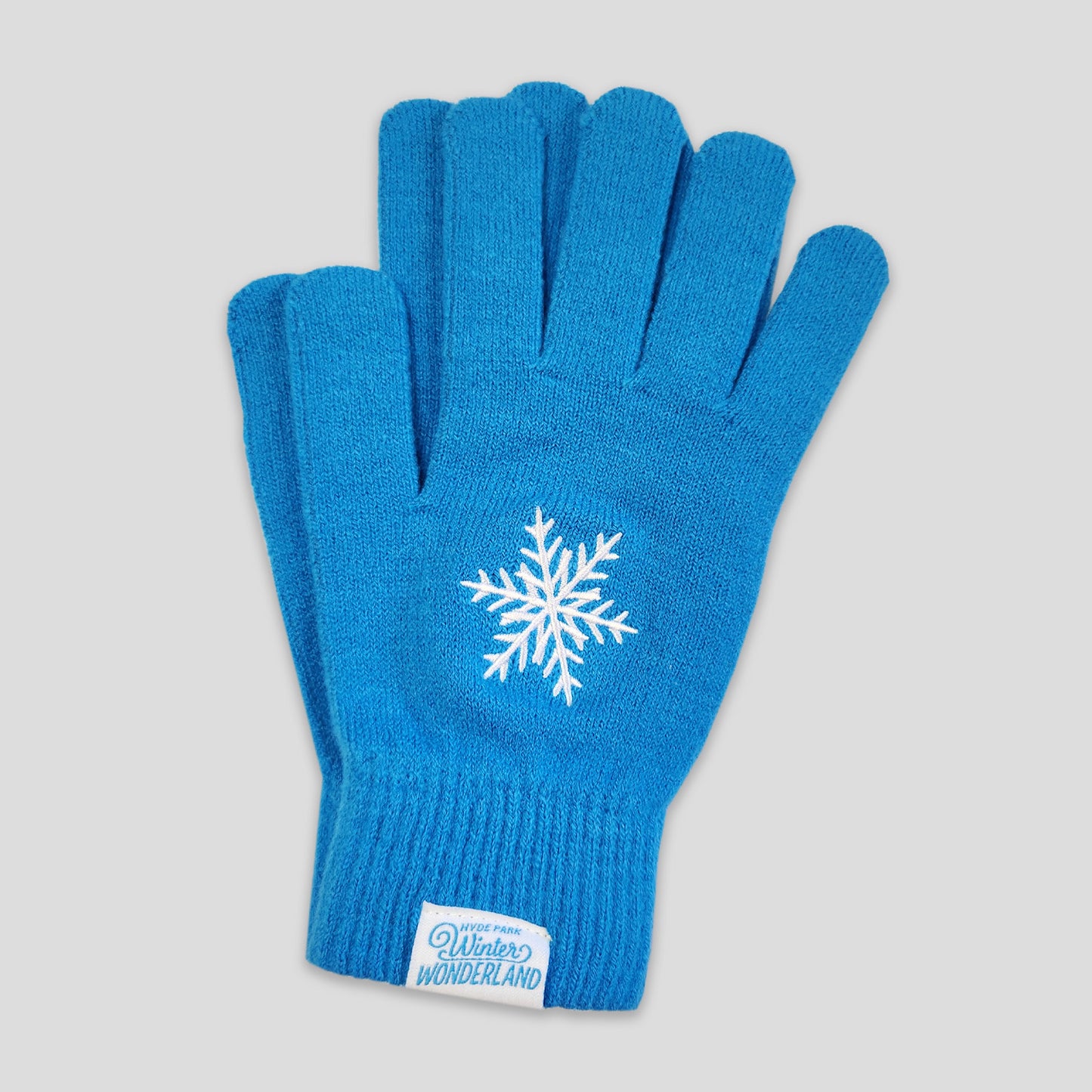 Winter Wonderland Snowflake Light Blue Gloves