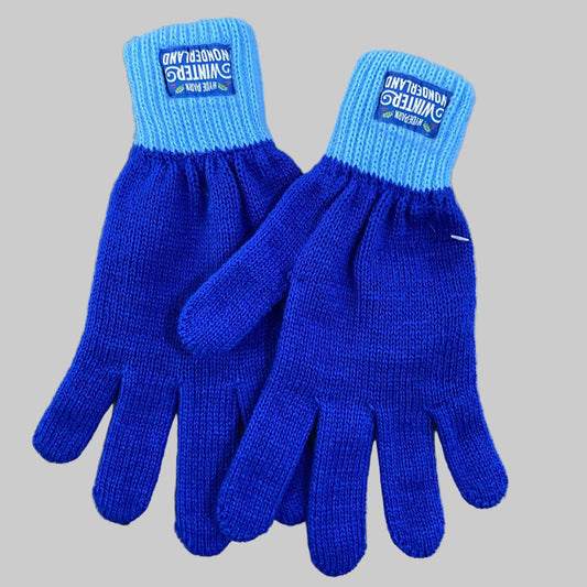 Winter Wonderland Blue Gloves